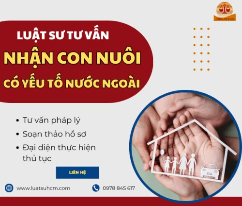 Dịch vụ tư vấn nhận con nuôi có yếu tố nước ngoài