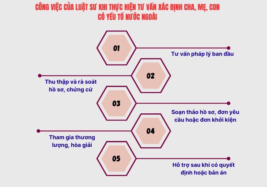 Tư vấn xác định cha, mẹ, con có yếu tố nước ngoài 