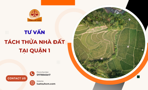 Dịch vụ tách thửa nhà đất tại Quận 1