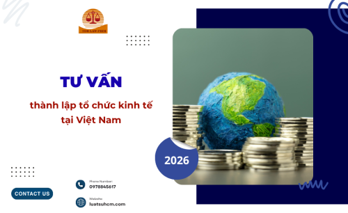 Tư vấn thành lập tổ chức kinh tế tại Việt Nam năm 2026