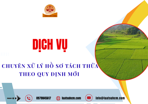 Dịch vụ chuyên xử lý hồ sơ tách thửa theo quy định mới của UBND TP.HCM 2026