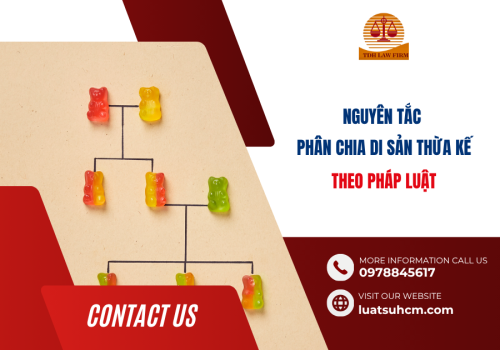 Nguyên tắc phân chia di sản thừa kế theo pháp luật