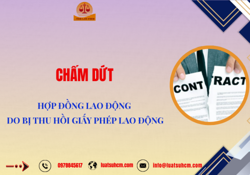 Chấm dứt hợp đồng lao động do bị thu hồi Giấy phép lao động