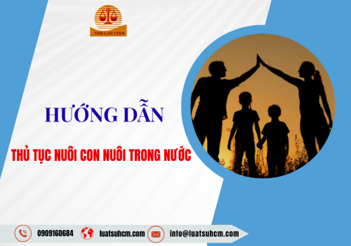 Hướng dẫn thủ tục nuôi con nuôi trong nước